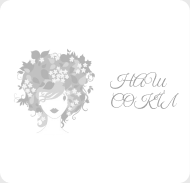 Наш Сокіл